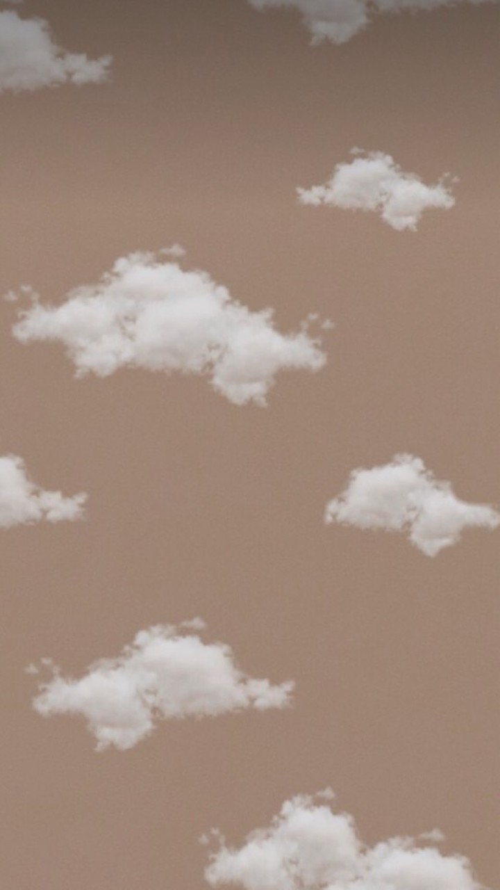 みぃとふぁすた