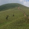 低山ハイク　初心者　東海