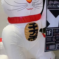 楽しく学ぶポイ活&お得部屋【雑談多め】