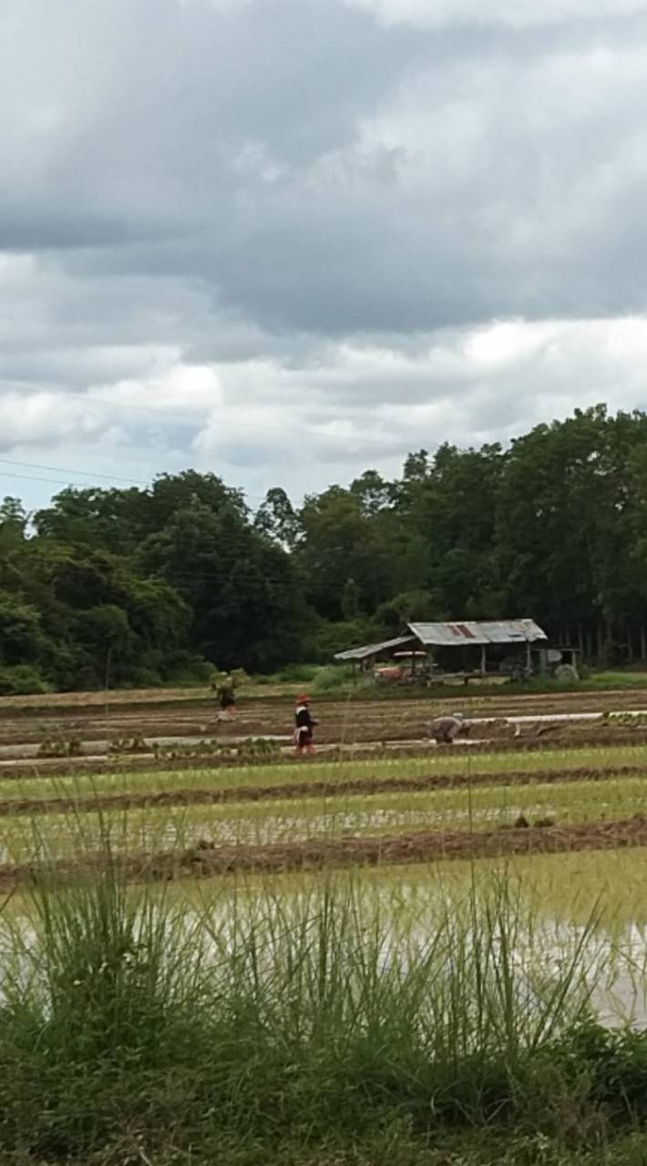 สถานที่ท่องเทียวเชียงราย