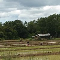สถานที่ท่องเทียวเชียงราย