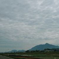 🍀新潟県 西蒲区限定 情報交換🍀😷