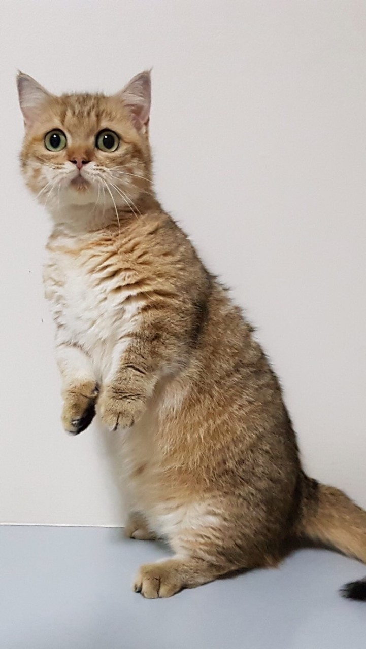 กลุ่มผู้เสียหาย forex 3d