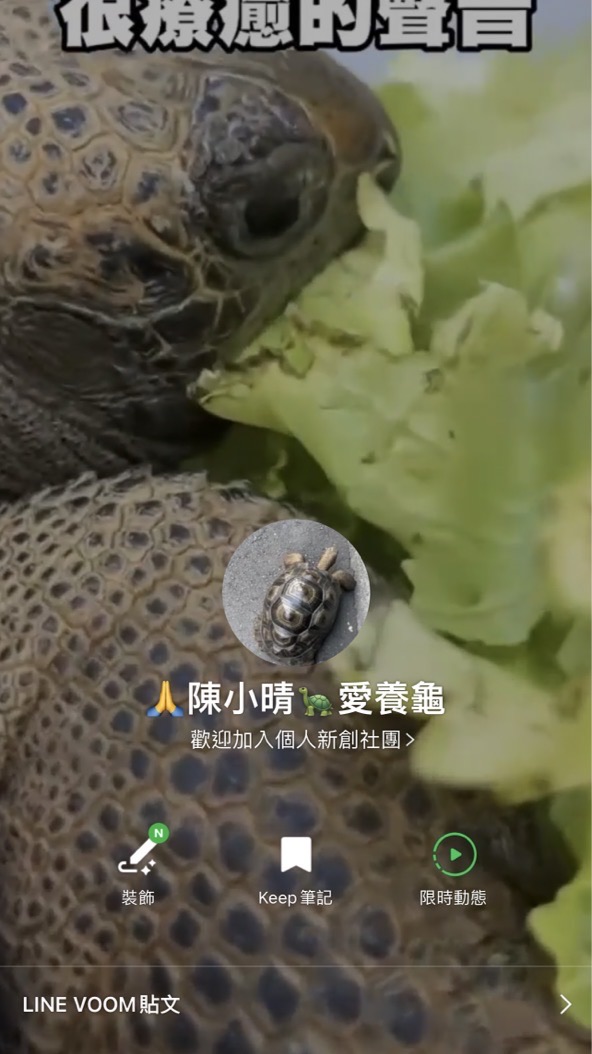 ㄧ群🙏陳小晴🐢愛養龜（買賣群）