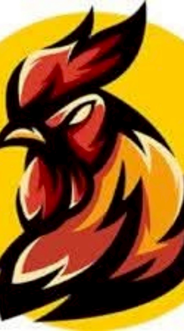 สนามชนไก่​ ป.​บางเลน​ (New)