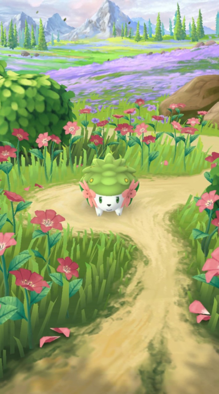 みんなでポケモンスリープやろー！！