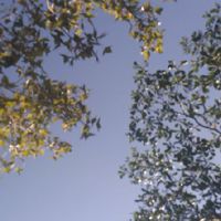 Doris的芳療調油設計/手作/分享