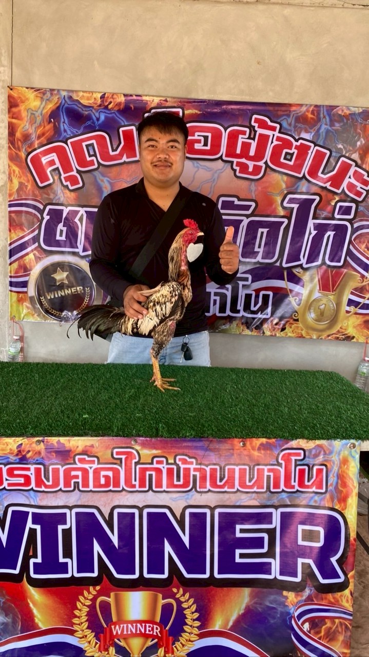 ซุ้ม หนุ่มกำแพง