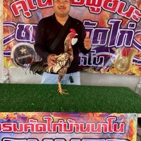 ซุ้ม หนุ่มกำแพง