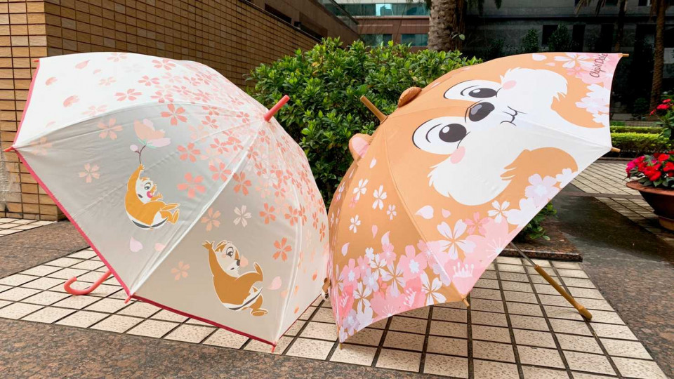 奇奇蒂蒂大直傘