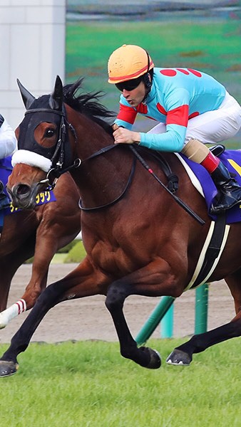 競馬むすめトークルーム