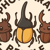 ด้วงและแมลง by Photharam Beetle