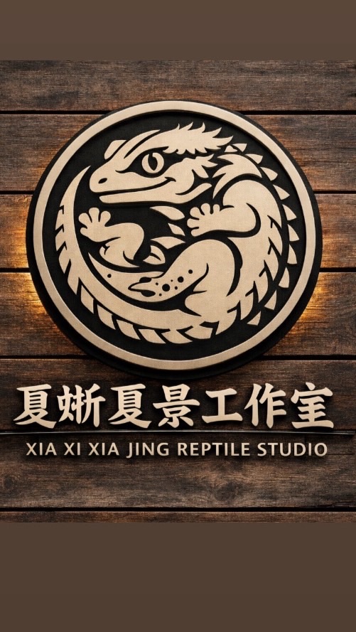 夏蜥夏景兩棲爬蟲交流群🦎