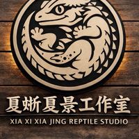 夏蜥夏景兩棲爬蟲交流群🦎