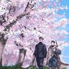 眩しい笑顔の奥に 。《 金カム也練習 》