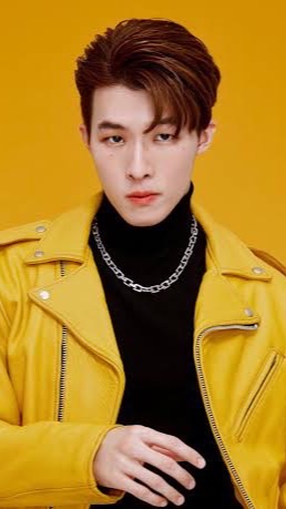 ทีมสีเหลือง กิ่งก้านใบ ชะชะ ใบก้านกิ่ง