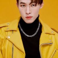 ทีมสีเหลือง กิ่งก้านใบ ชะชะ ใบก้านกิ่ง