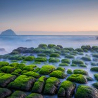 和平島公園華麗轉身 獲交通部服務獎肯定