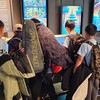 大湖5年級群
