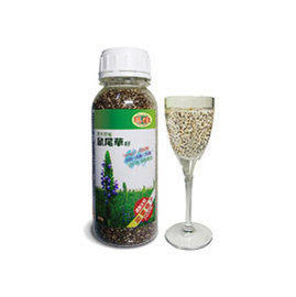 亞積 CHIA SEED野生原種鼠尾草籽 430g/瓶 18瓶團購價