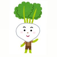 新NISA お悩み相談場所