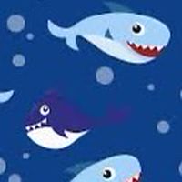 Shark