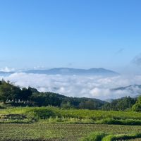 かなえ農園〜土地とつながり微生物と共に〜🍀🌸🌏✨