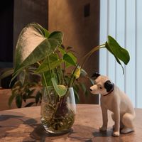 🐶大人の放課後倶楽部🐱
