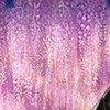 佃煮さんシクレ本丸