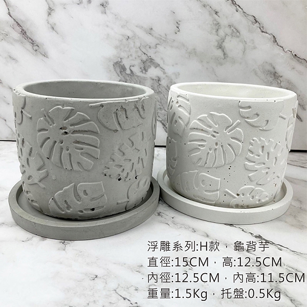 (BEAGLE) 龜背芋 浮雕系列水泥花盆+托盤 多肉水泥花器/仙人掌水泥花盆/水泥植栽/水泥盆器