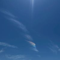 bitradex💰福の山界チーム💰