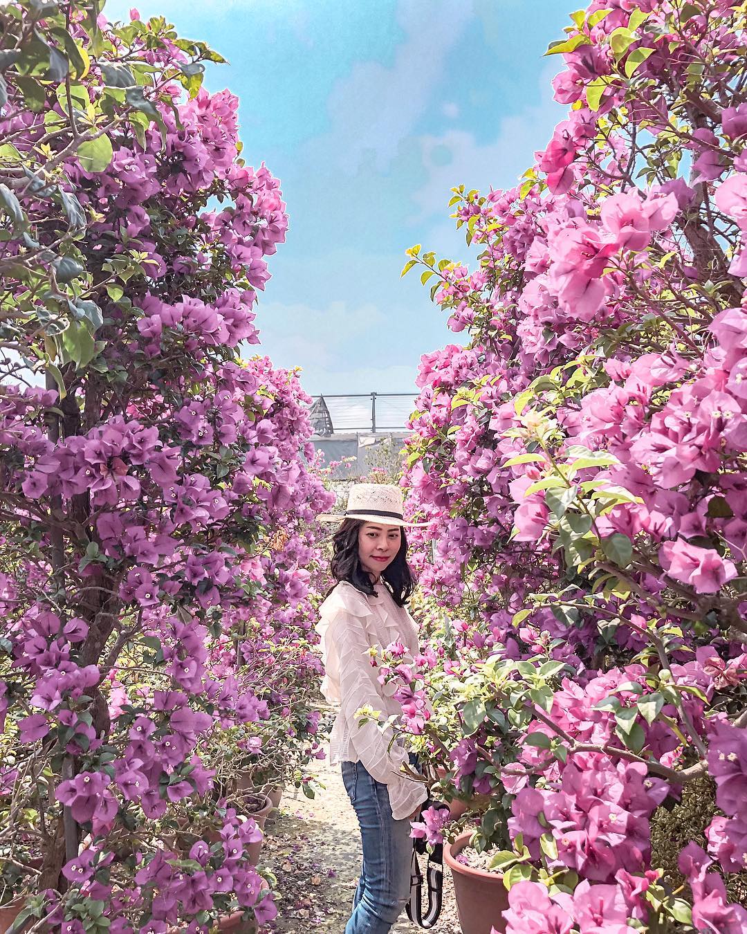 輝豐園藝 @littlemolly00