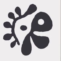 努娜有錢 Cortis代購團✨