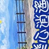 樂心逍遙遊