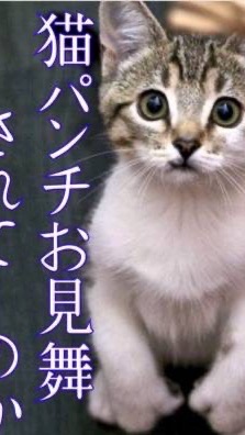 ロブロックスオプ！ライトでも楽しもう！寄付企画頻繁！