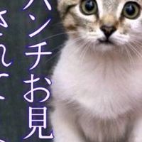 ロブロックスオプ！ライトでも楽しもう！寄付企画頻繁！
