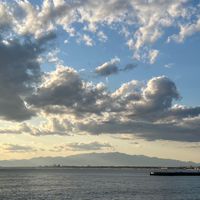 2024 早稲田　創造理工　建築