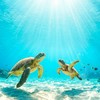 ✨あくありうむ✨障害者の雑談室🍀