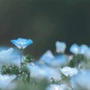 何回だって何十回だって ___ 。 『虹桃緩也』