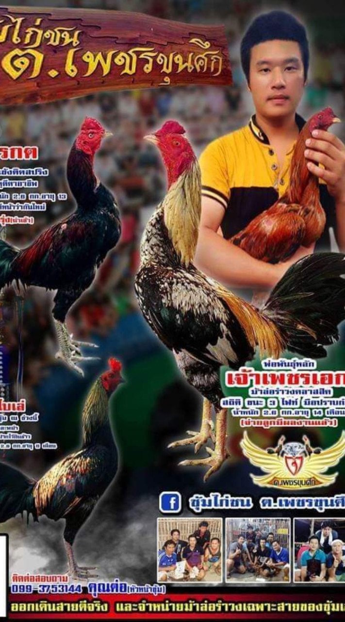 ซุ้มไก่ชน ต.เพชรขุนศึก ลำพูน
