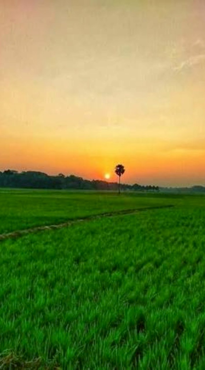 ติวสอบO-NET สอบเข้าม.1 สอบกลาง/ปลาย