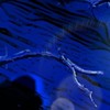 病み 【相談・愚痴用】