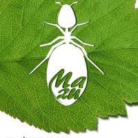 螞糬E巢-螞蟻飼養/產品優惠/產品詢問