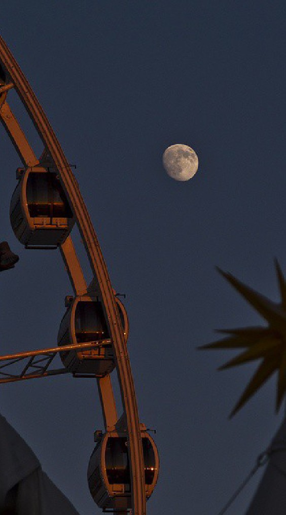 บอท tick ​​tock