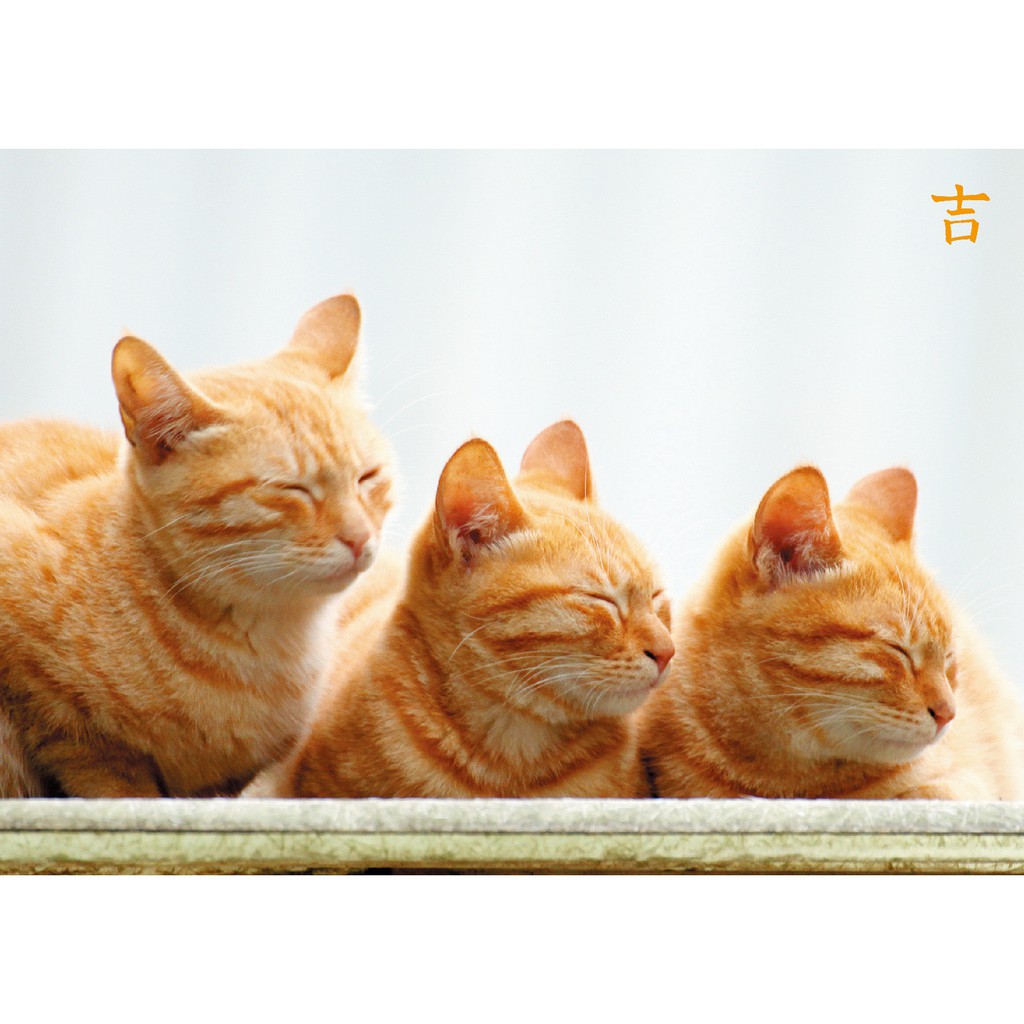 攝影／吳毅平三顆橘子(新北市新店)安靜的午後(新北市瑞芳)松阪床墊(台南市安平)咪咪與米(苗栗縣通宵)恨天高(台北101)福德正貓(新北市平溪)元宵賞燈(台北市龍山寺)累積了五千年的憂鬱(台東市)