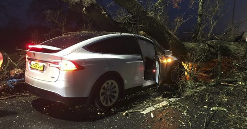 Model X 在同一路口都因自動駕駛倖免於被樹壓的大難