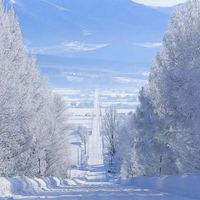 ジャニーズと芸能人と一般で恋しよ