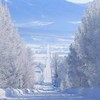 ジャニーズと芸能人と一般で恋しよ