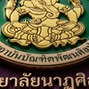 ปริญญาตรี วิทยาลัยนาฏศิลป  (CDA)
