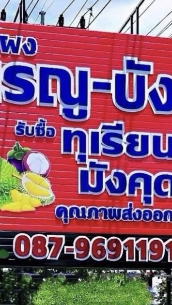 แผงทุเรียน เรณู-บัง